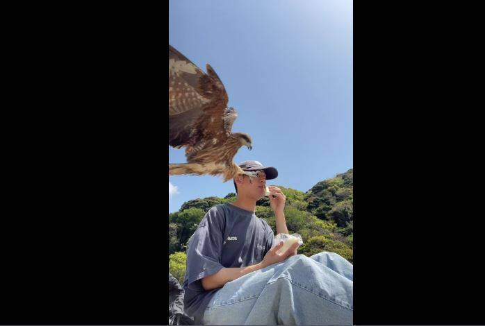 Japon gencin ağzına götürdüğü sandviçi pençesiyle çaldı! Fişek gibi geldi tek hamlede kaptı - Resim: 5